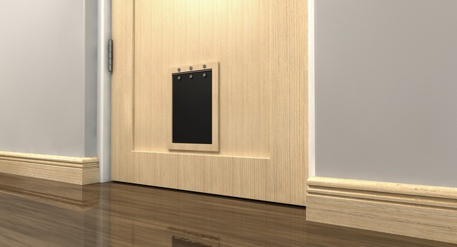 Cat Flap Installation Hampstead, NW3