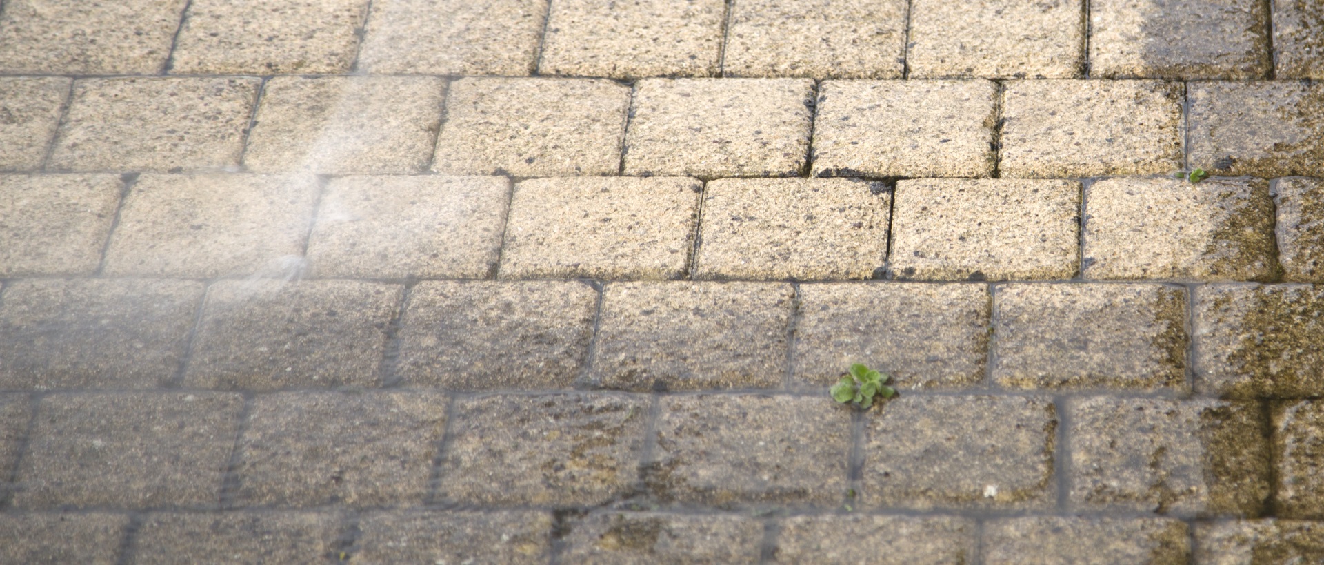 flagging and patios NW3